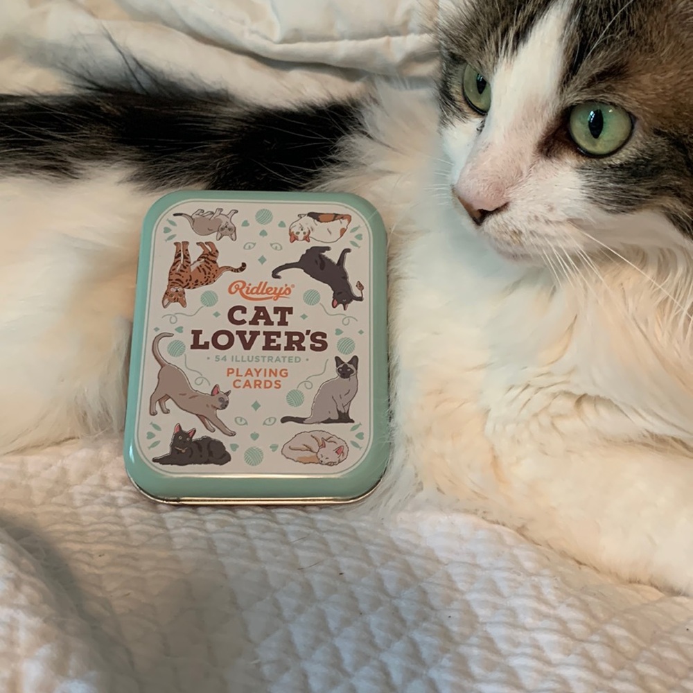 Cat Lover's Playing Cards Deck in a Tin -Brand New Sealed